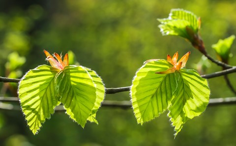 Photo by Didier Quan