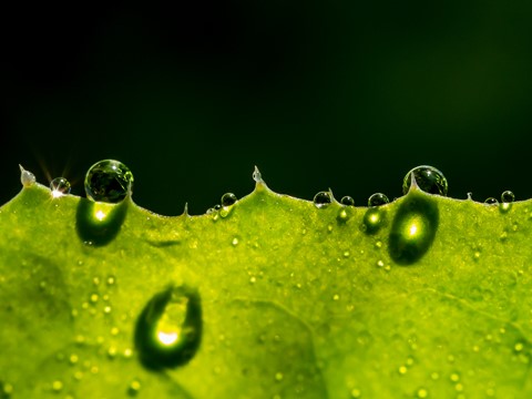 Photo by old shutter bugger