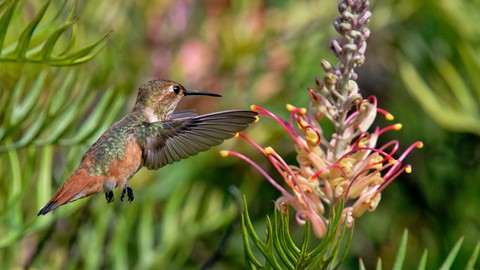 Photo by Shiann Yang