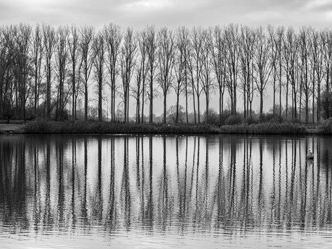 Photo by softmarmotte