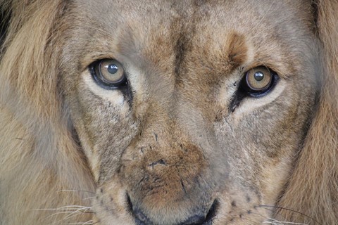 Photo by Nilesh Trivedi