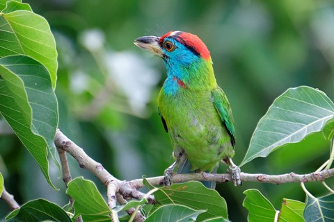 Photo by Amitava Ghoshal