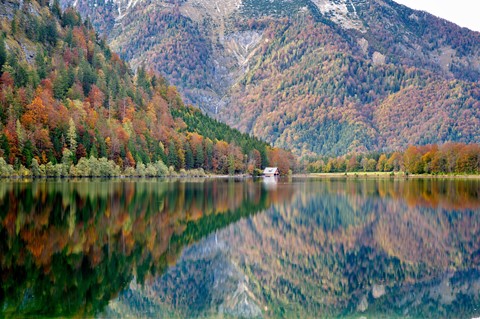 Photo by fireplace33