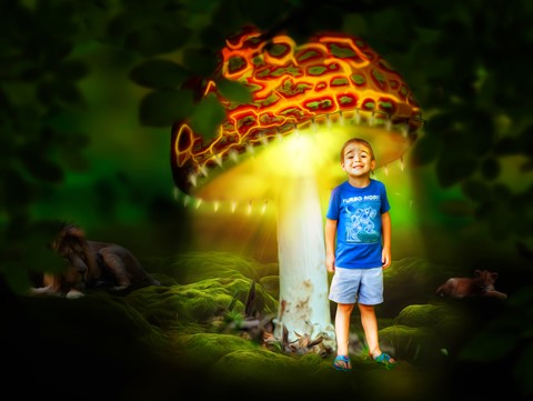 Photo by Canonman1960