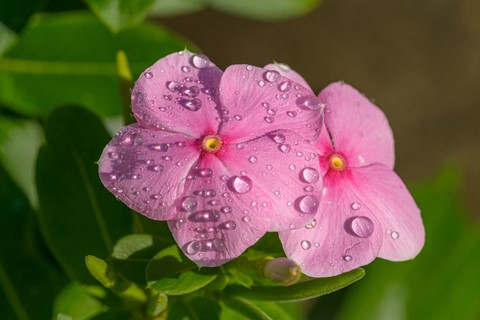 Photo by Sagittarius