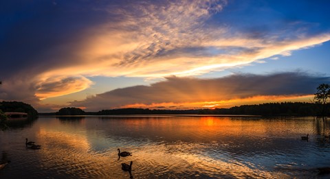 Photo by Daniel Sjolie