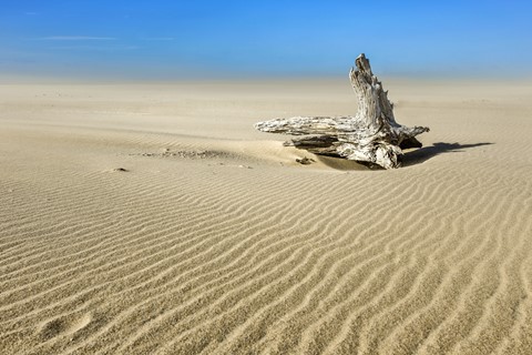 Photo by George Veltchev