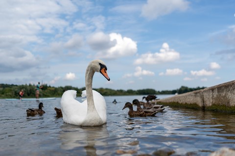 Photo by Vishnu photoplorer