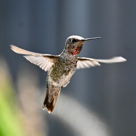 Photo by jacqueparees