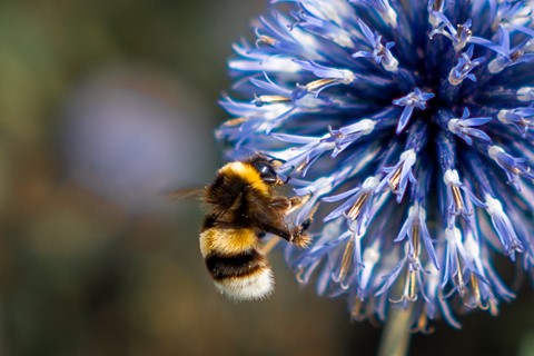 Photo by Vishnu photoplorer