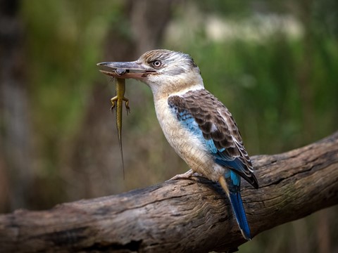 Photo by ClickerRose