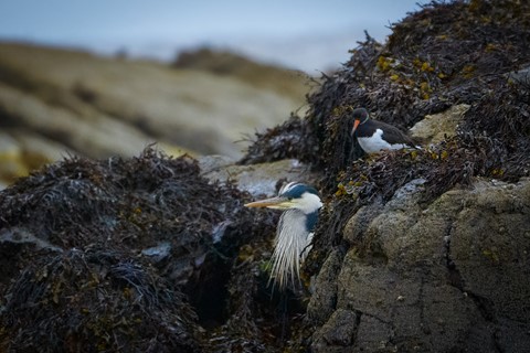 Photo by Gregor Samsa