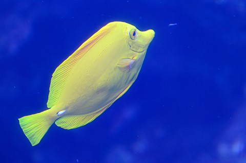 Photo by Sagittarius