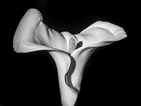 Photo by old shutter bugger