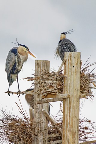 Photo by Kokopelli_Rocks