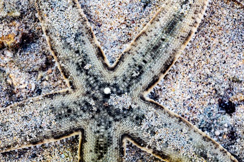 Photo by Myles Baker