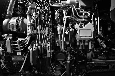 Photo by PhilipFromCanberra