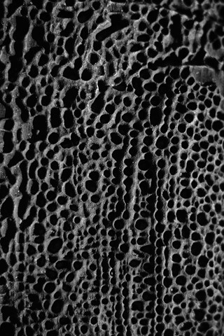 Photo by PhilipFromCanberra