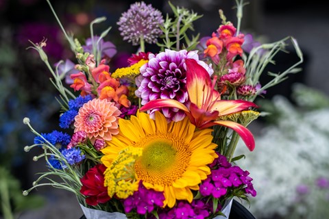 Photo by jmiller1948