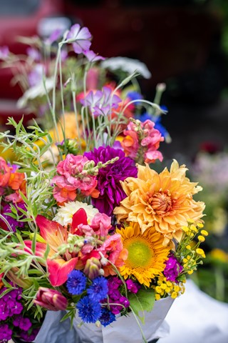 Photo by jmiller1948