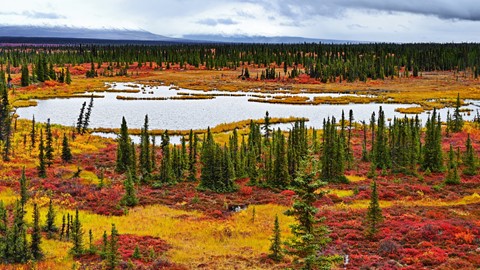 Photo by One_Oldman_4U