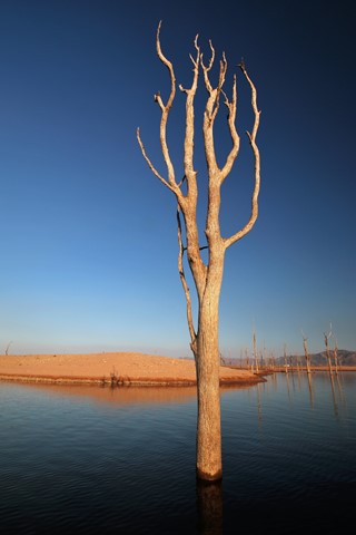 Photo by Nilesh Trivedi