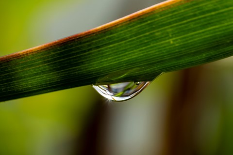 Photo by Yegordremov