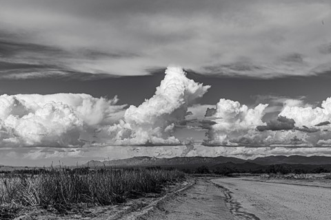 Photo by Storm is building