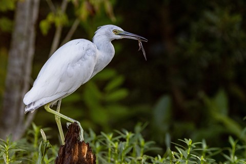 Photo by anderson_paul