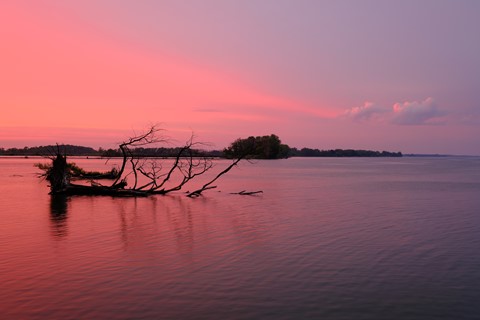 Photo by Maurice Byatt