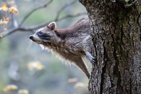 Photo by jmiller1948