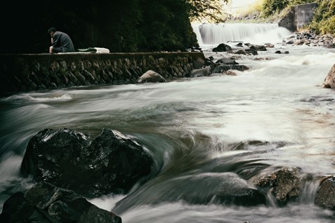 Photo by Great Bustard
