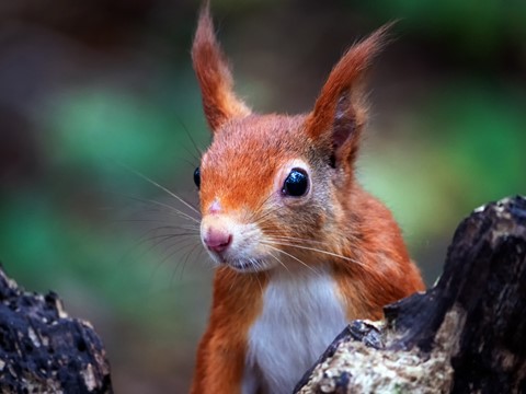 Photo by PhilRogersPhoto