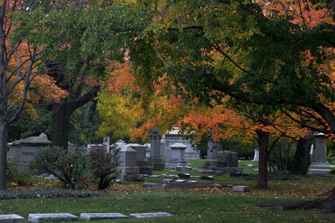 Photo by garylowellshum