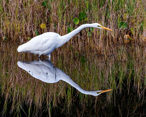 Photo by photoman555