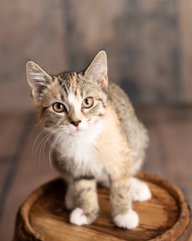 Photo by Maggie May1978