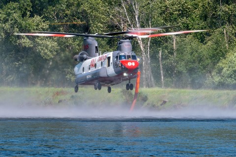 Photo by Montanawildlives