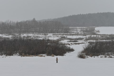 Photo by AlexeyKotlov