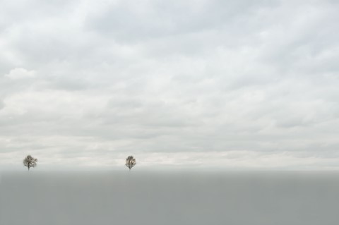 Photo by Barren and Alone