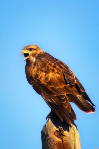 Photo by SpartanWarrior