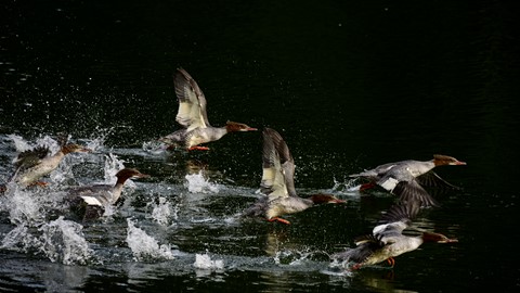 Photo by Sergio Image