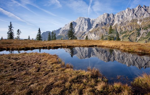 Photo by fireplace33