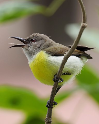 Photo by Diwakar Kannan