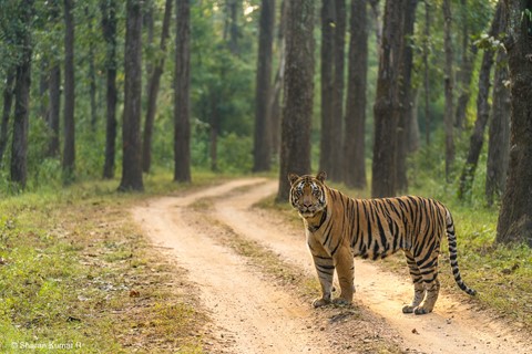 Photo by Sharan Raghunath