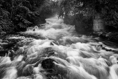 Photo by Maurice Byatt