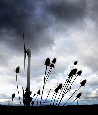 Photo by jonestheroad