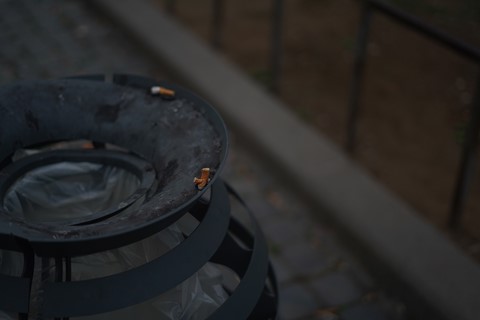 Photo by Giulia Bishopp