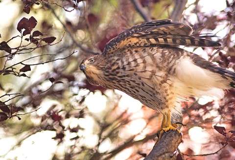 Photo by SunsetManAZ