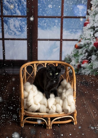 Photo by Maggie May1978