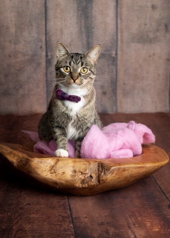 Photo by Maggie May1978